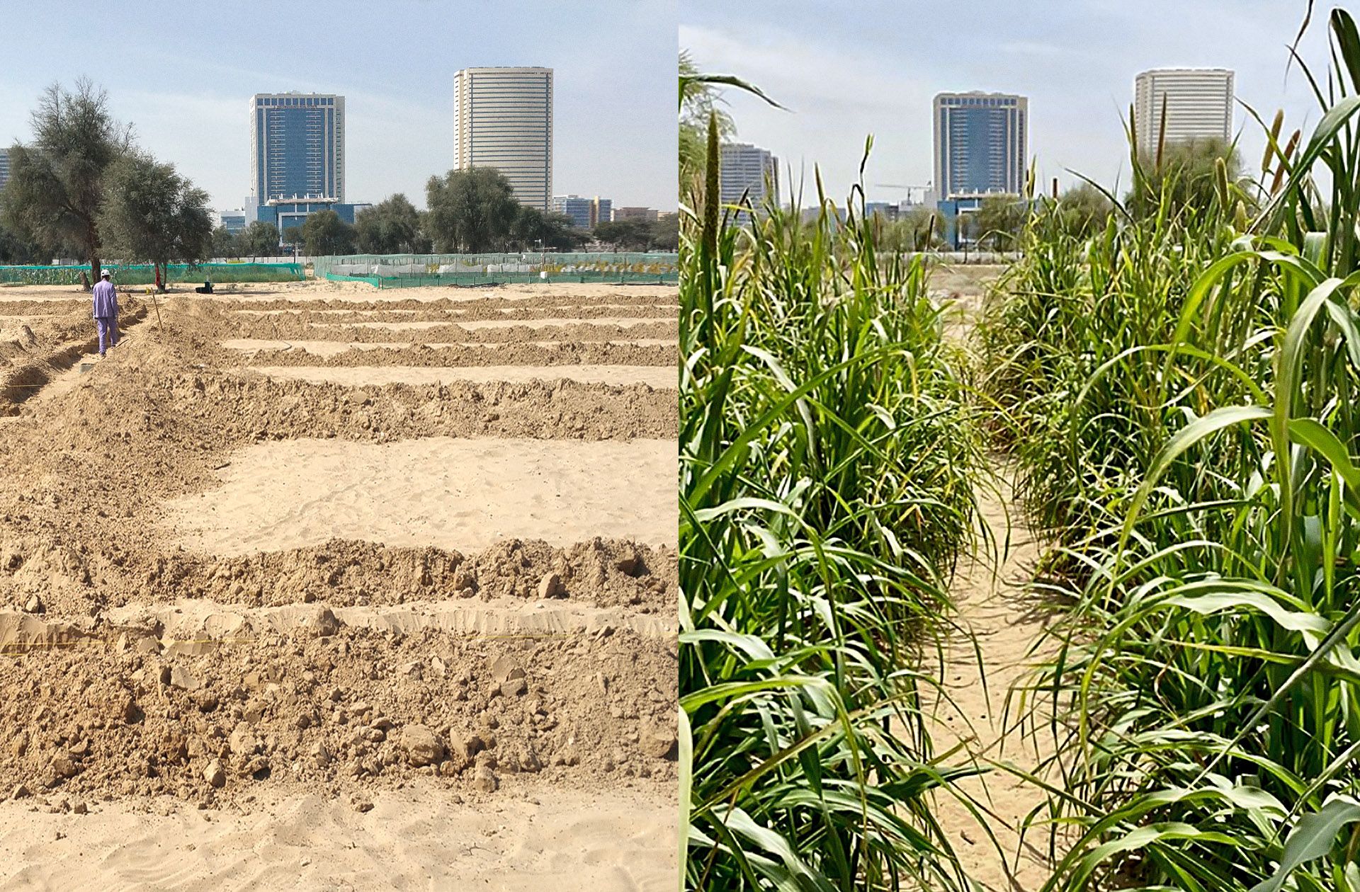 Liquid NanoClay geeft aan een proces te zijn dat natuurlijke klei omzet in vloeistof, om woestijnvorming tegen te gaan, gedegradeerde bodems te saneren en het waterverbruik voor groene ecosystemen te verminderen. 
