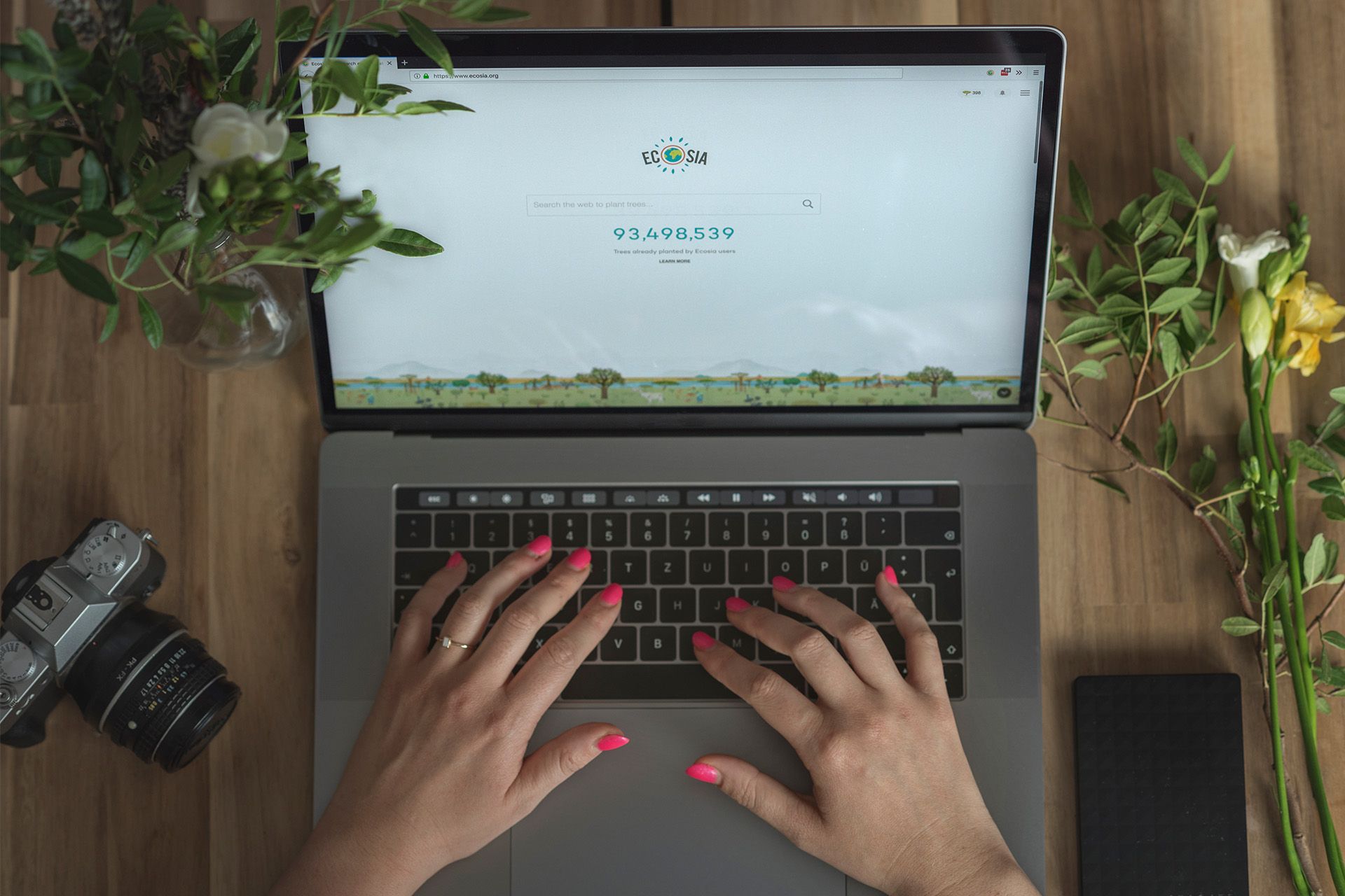 Ecosia arama motoru, bir dizüstü bilgisayar ekranında görülebilir