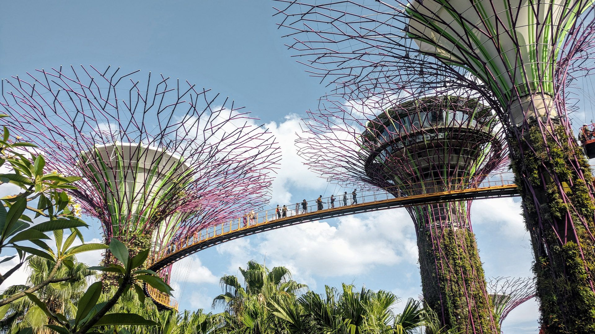 Singapur’da Gardens by the Bay park alanı